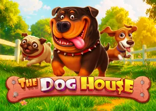 calling88 ล่าสุด The Dog House ทดลองเล่นฟรี
